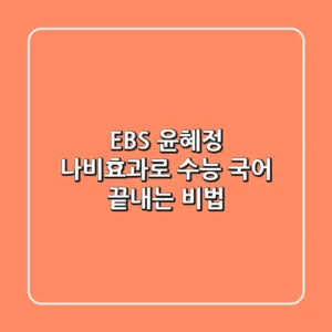 EBS 윤혜정 나비효과로 수능 국어 끝내는 비법