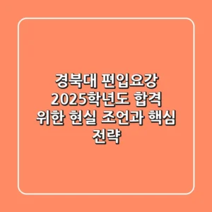 경북대 편입요강: 2025학년도 합격 위한 현실 조언과 핵심 전략