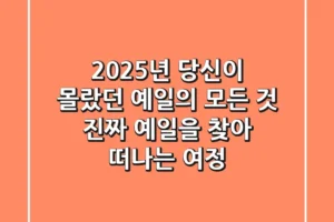 2025년, 당신이 몰랐던 ‘예일’의 모든 것: 진짜 예일을 찾아 떠나는 여정