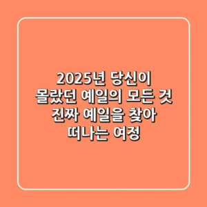 2025년, 당신이 몰랐던 '예일'의 모든 것: 진짜 예일을 찾아 떠나는 여정