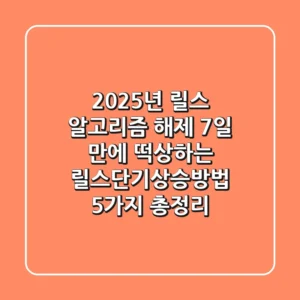 "2025년 릴스 알고리즘 해제", 7일 만에 떡상하는 릴스단기상승방법 5가지 총정리