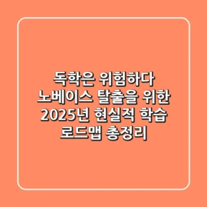 "독학은 위험하다", 노베이스 탈출을 위한 2025년 현실적 학습 로드맵 총정리